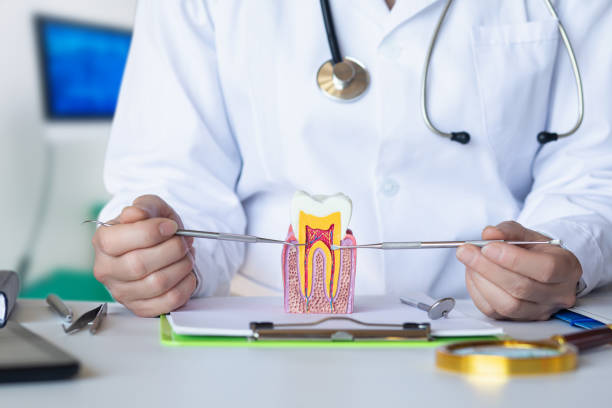 Best Emergency Wisdom Teeth Removal in Lake Butler, FL